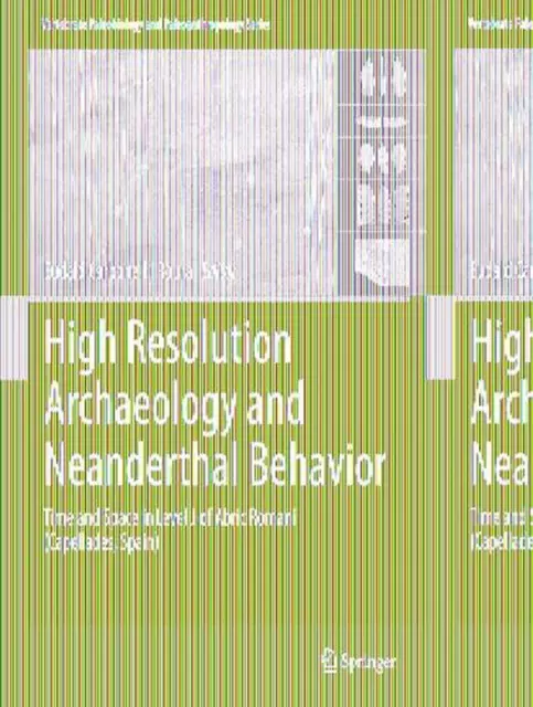 High Resolution Archaeology and Neanderthal Behavior: Time and Space in Level J