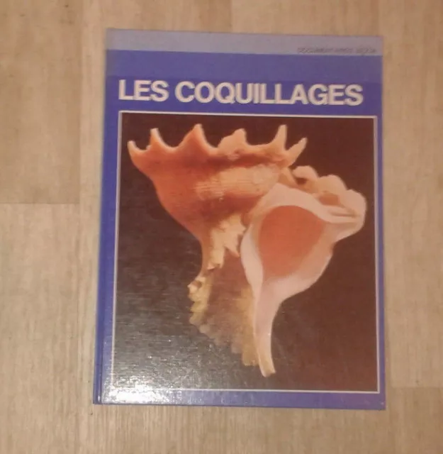 ANGELETTI Sergio. Les coquillages. Grange Batelière. 1974.