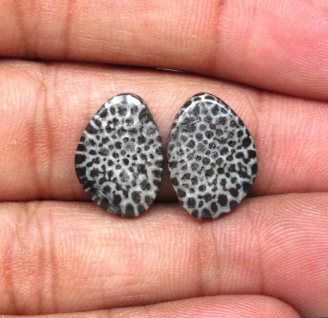 Black Fossil Coral Pair Cabochon Fancy 9.60 ct Natural Loose Gemstone E 7897