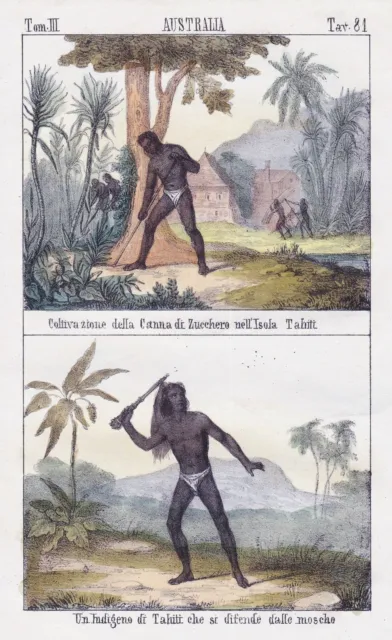Tahiti Français Polynesia Oceania Australia Costumes Lithographie 1840
