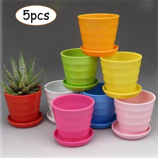 5pcs Coloré Mini Plastique Flower-Pot Succulent-Plant Fleur Pot Décor Maison