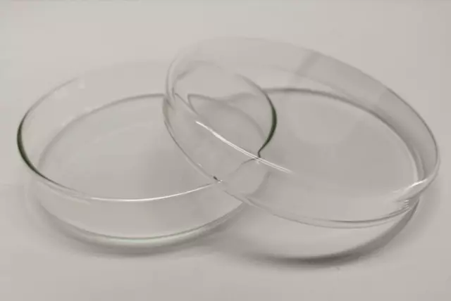 4 Stück Petrischale 100 mm x 20 mm Glas 2