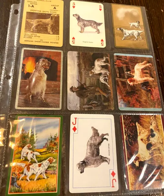 Single Playing Cards - Dog Breeds - English Setter