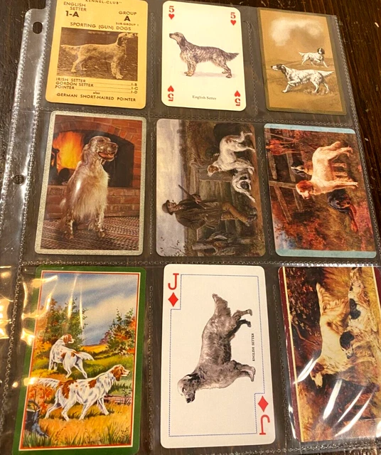 Single Playing Cards - Dog Breeds - English Setter