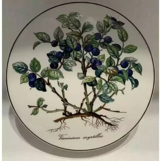 Villeroy & Boch 6" Round Trinket Box Luxembourg Botanica Vaccinium Myrtillus