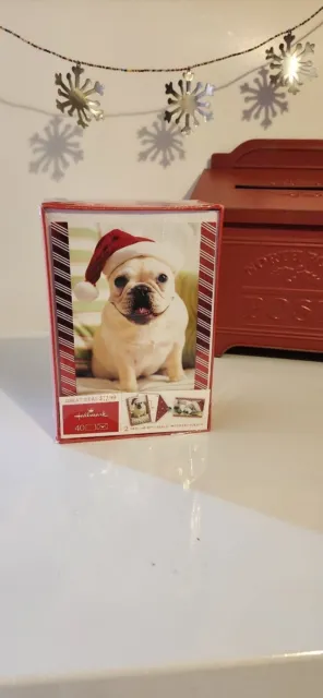 Dog Christmas card box 2 designs 40 cards & envelopes, new unopened hallmark