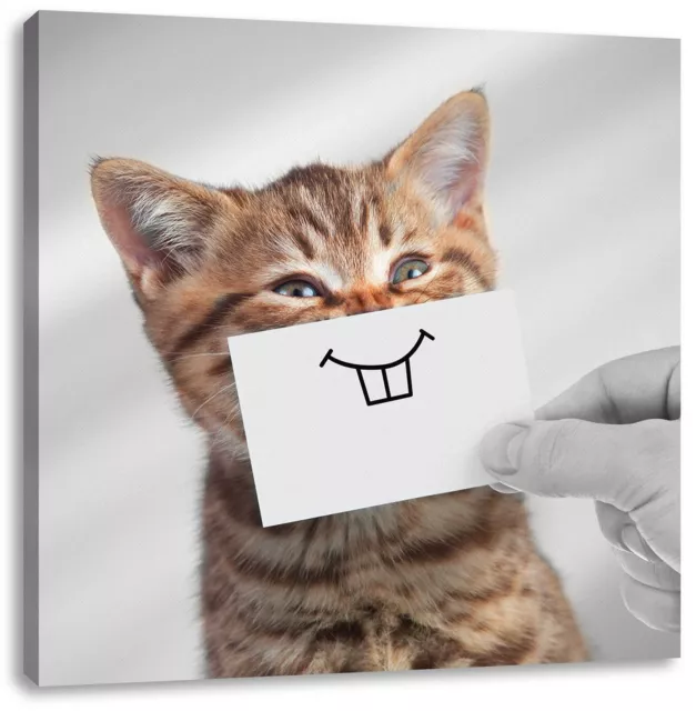 Drôle Chat Avec Sourire Sur Papier B&w Détail, Image de Toile Carré