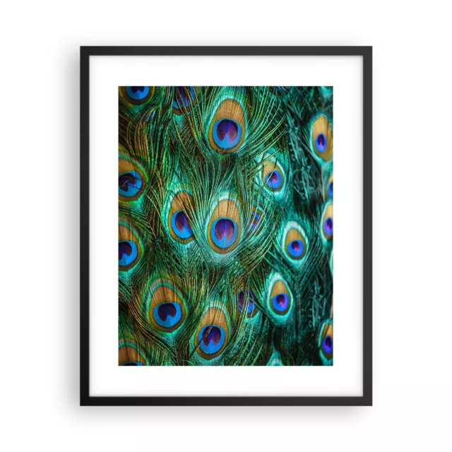 Cuadro Poster de Pared 40x50cm P�ster Marco Pavos Reales Pluma Macro Wall Art