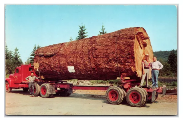 Vintage 1950s- Truck Hauling A Fir Log- Oregon / Washingtion Postcard (UnPosted)