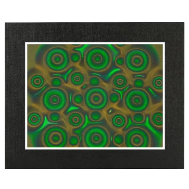 Pellicola Magnetica Verde - Per Visualizzare Campi Magnetici, 25x50mm - Foto 5