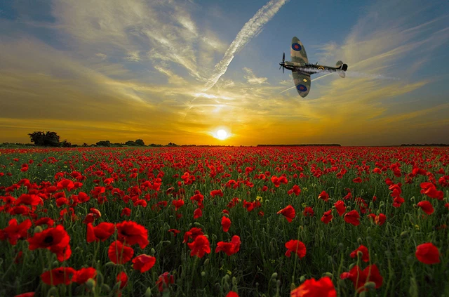 Supermarine Spitfire MK2 smoke poppy  canvas print various sizes free delivery