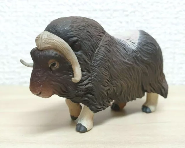 Kaiyodo Capsule Q Museum Wild Rush MUSKOX musk-ox Arctic Circle animal figure