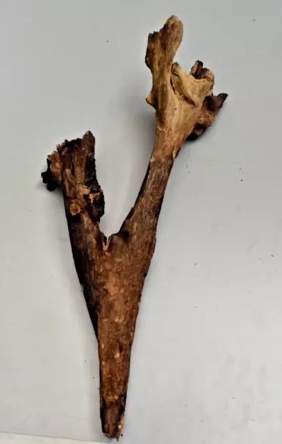Driftwood Natural Tree Trunk Aquarium Fish Tank Reptile Foliage Deco Length 14in