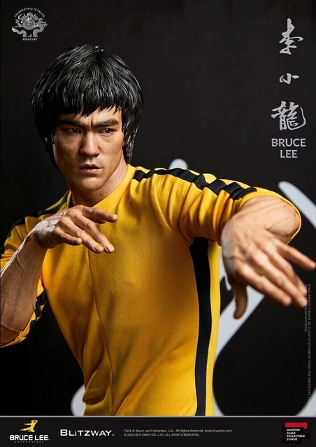 Photo Bruce Lee – Format 20x27 Cm – Cinéma – Neuf