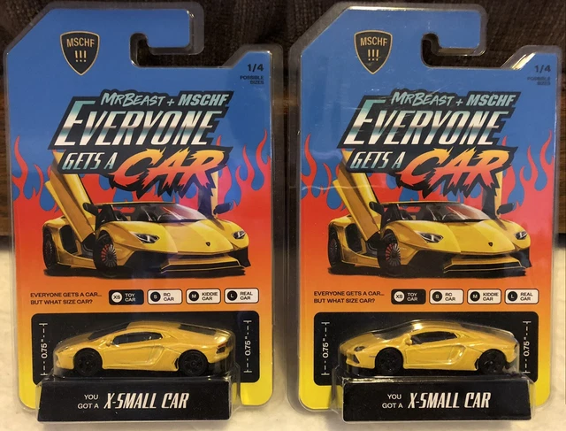 Breathtaking Photos Of mr beast lamborghini toy car Concept