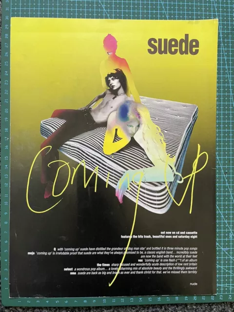 Suede Coming Up A4 Poster/Original Magazine Advertisement