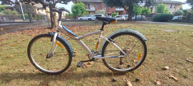 Bici domyos sales
