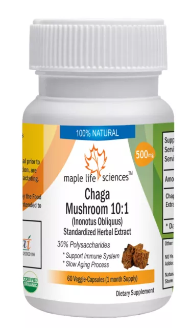 Chaga Mushroom 10:1 Extract Capsules, 30% Polysaccharides, NO Fillers