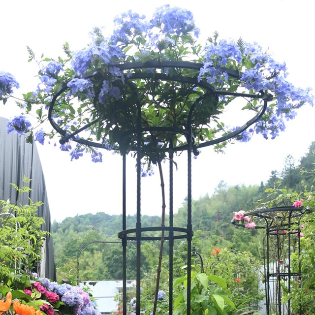 VERTICAL UMBRELLA TRELLIS Tower Garden Trellis Climbing Plants Support