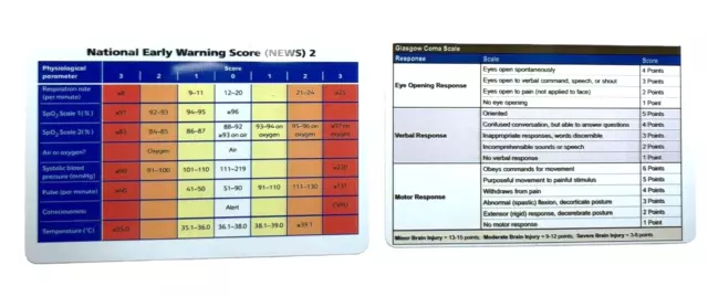 NEWS 2 and GCS ID Badge Flash Card Student Paramedic / Nurse