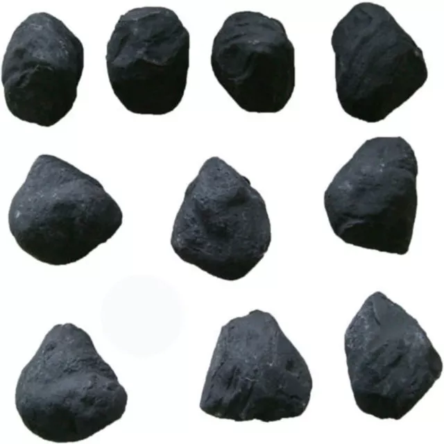 Pezzi di ricambio carbone medi