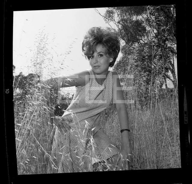 1967 MARYA SALLY Carter Playboy Model Actress Harry Langdon Negative w