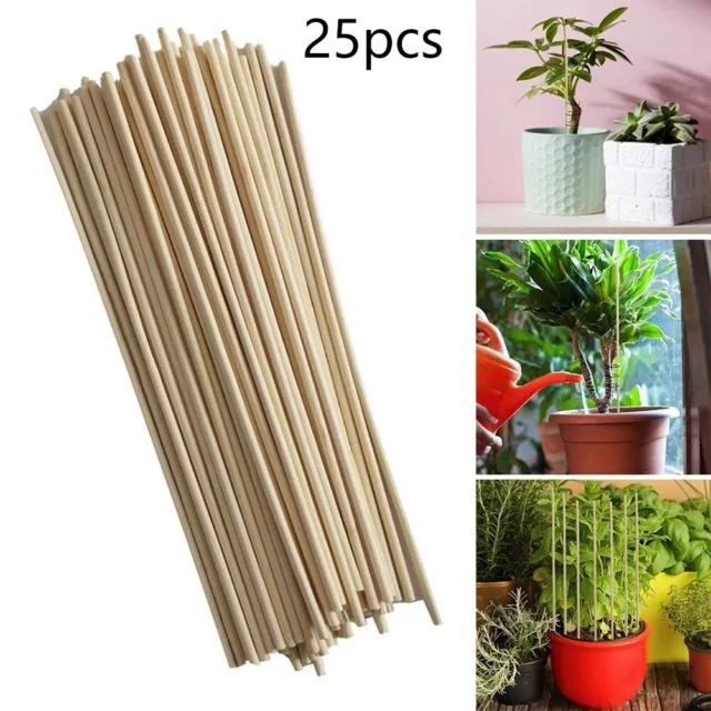 Pali di bambù per supporto piante da giardino set 25 pz per supporto piccole pi