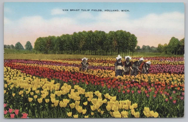 Linen~Holland Michigan~Van Bragt Tulip Fields~Dutch Girls~Vintage Postcard