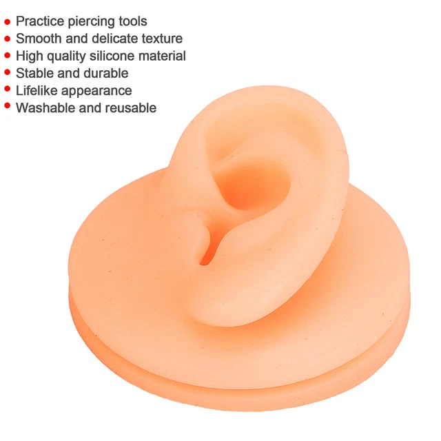 Modelo de práctica de acupuntura de oreja modelo de simulación modelo de oreja falsa (oreja izquierda ABE