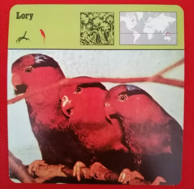 Editions Rencontr - Birds - 16-377 - Lory - 1976