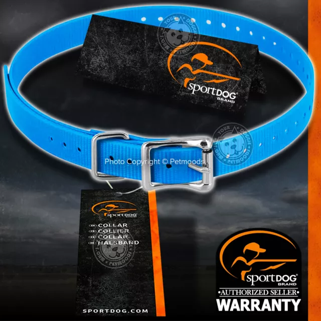 SportDOG SAC00-11920 Genuine 1-inch Replacement Dog Collar Strap Blue Color