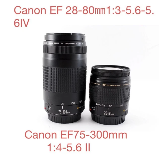 Canon EF75-300mm & EF28-80mm ダブルレンズセット Canon EF75-300mm & EF28-80mm ダブルレンズセット