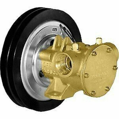 JABSCO Jabsco 1673-1001 Marine 1673 Séries Poulie Pneumatique Flexible Rotor Pompe 