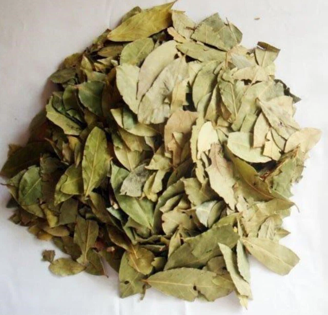 SIDR ESSICCATO biologico Seder FOGLIE Natural ورق سدر مجفف اوراق...