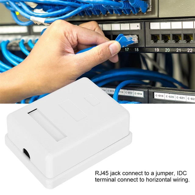 2x RJ45-8P8C CAT6 Single Port Networks Wiring Mounted Desktop Informatio
