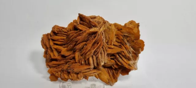 Minerali☆Barite Con Micro Quarzo Provenienza Barbusi Sardegna