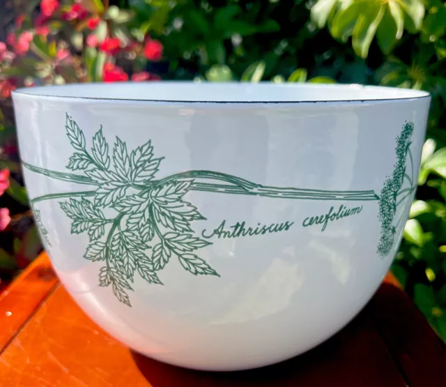 Large Finel ARABIA Kaj Franck Finland Enamel Bowl Anthriscus Cerefolium Chervil