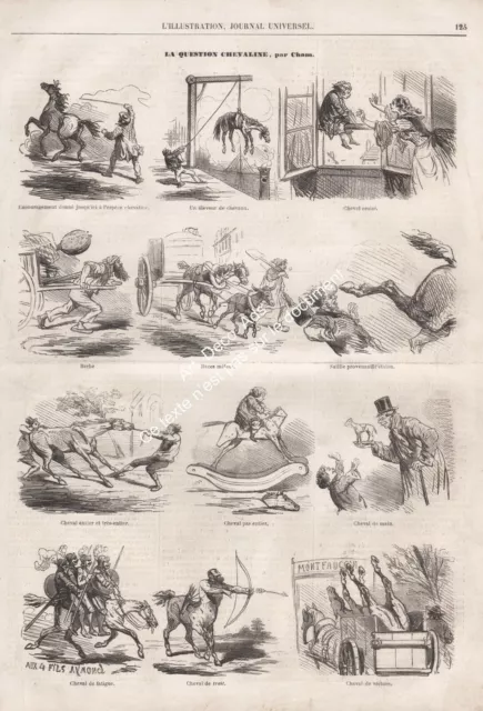 Gravure 1861 engraving, La question chevaline par cham Caricature