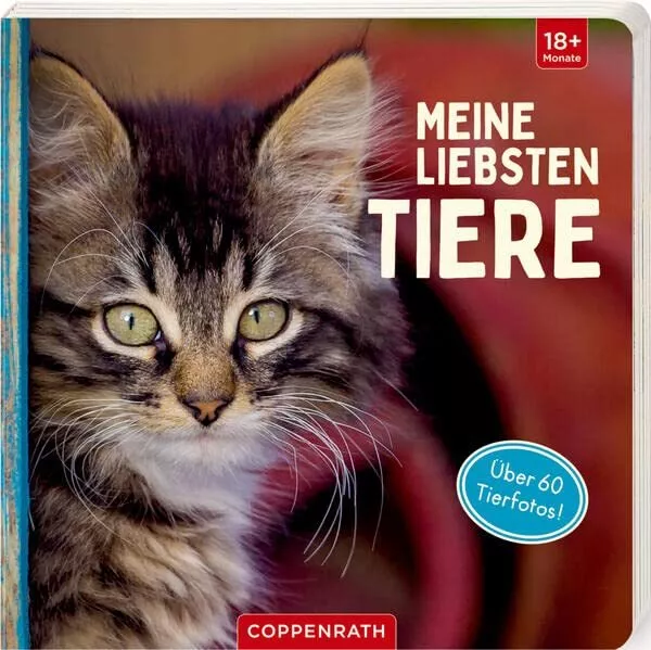 Meine Liebsten Tiere - (German Import) Book NEUF