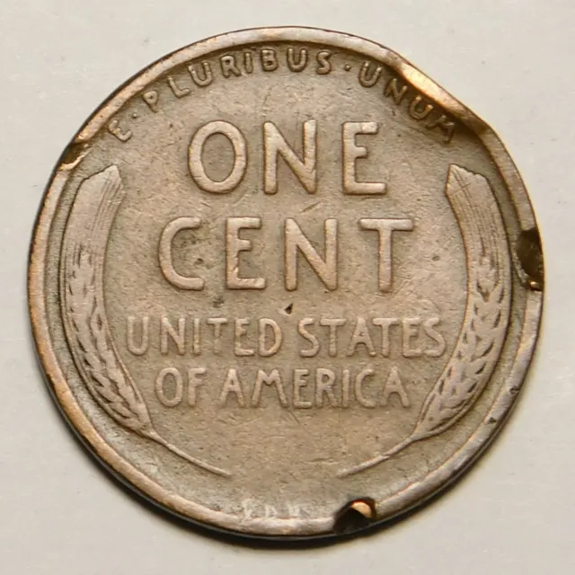 1909 VDB Lincoln Wheat Cent / Penny Cull  "Actual Coin Pictured"