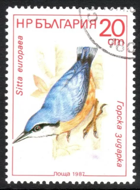 Eurasian nuthatch or wood nuthatch (Sitta europaea) passerine bird used stamp