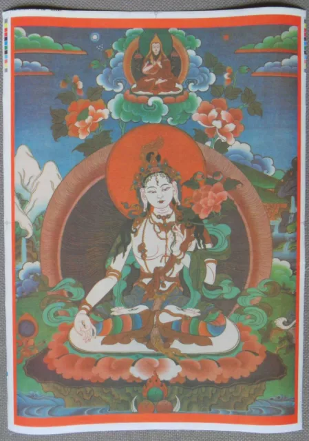 Thangka-bild Weiße Tara - Sitatara Tibet Dolma - Dölma blanc Dharma