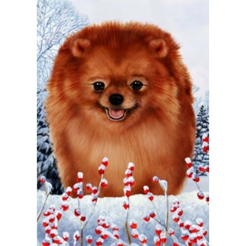 Winter House Flag - Red Pomeranian 15013