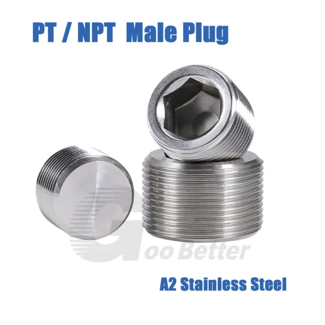 Male Plug A2 Stainless Steel Internal Hex Head Socket Blanking Plug PT / NPT