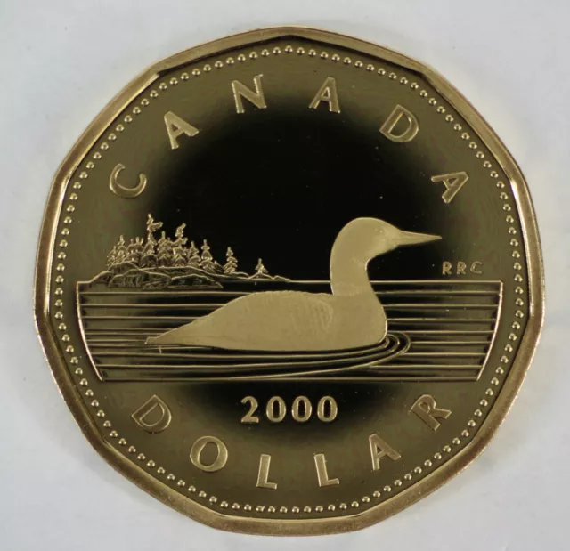 2000 Canada Loonie Proof One Dollar Heavy Cameo Coin