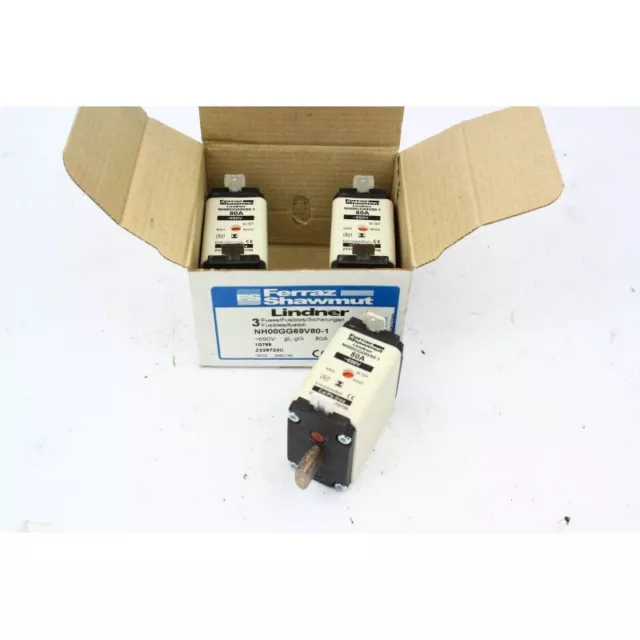 3Pcs Ferraz Shawmut Lindner NH00GG69V80-1 (B351)