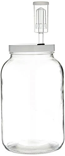 - One Gal Wide Mouth Jar with Lid and Airlock Large Glass Jar with Fermentati...
