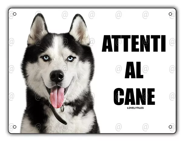 Cartello Attenti al cane Siberian Husky metallo pvc targa