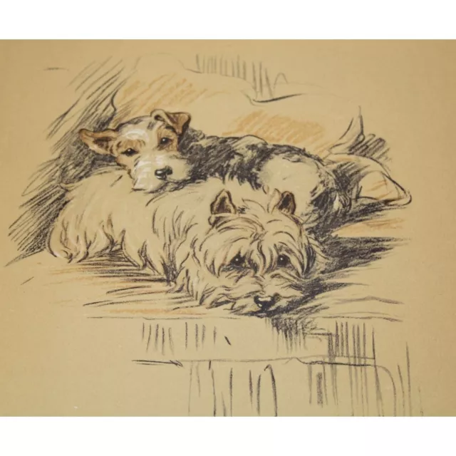 Lucy Dawson 1937 Cairn Terrier Wire Haired Dog Print Malick Woodie 90513