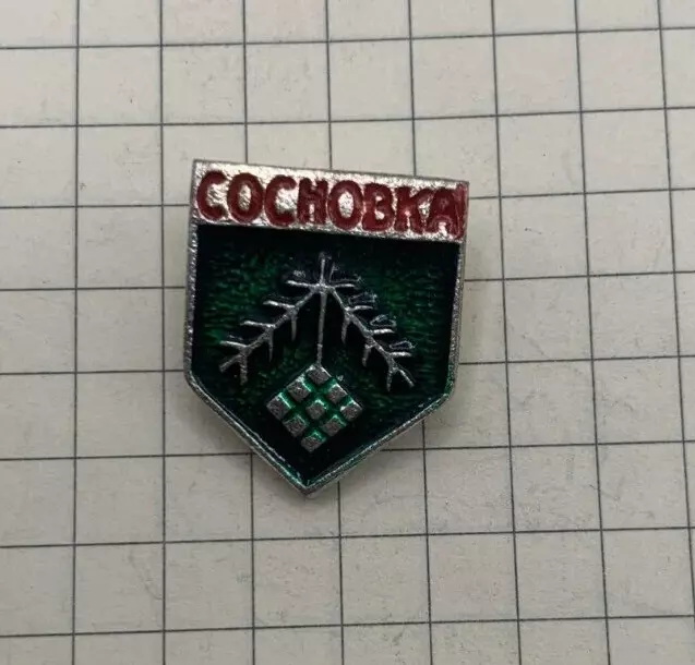 Pin Badges Sosnivka Sosnovka Coat of Arms Crest Blazon City Vintage Ukraine Ussr